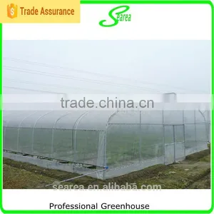 Single Span Commercial Used Greenhouse for Rose thumbnail-2