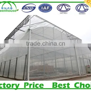 Low Cost 100,150,200 Micron Tunnel Multi Span Plastic Film Agricultural Commercial Greenhouse thumbnail-1