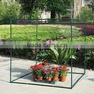 Home Garden Greenhouse Crops in UK Market thumbnail-1