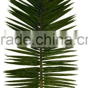 SJ12001119 Dried Plam Tree Leave/artificial Big Leaves thumbnail-1