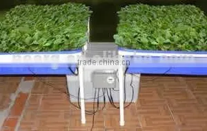 Indoor Aquoponics Hydroponics Fishing Tank With Vegetable Planter thumbnail-2