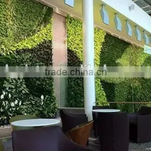2015 Best Price Artificial Plant Wall/artificial Grass Wall, Artificial Vertical Plant for Garden thumbnail-3