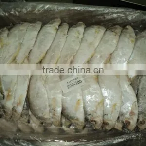 Katti Fish thumbnail-1