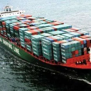 Qingdao Agent Import Declaration Company thumbnail-1
