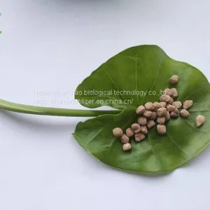 NPK SOP Base Based Water Soluble Fertilizer thumbnail-5