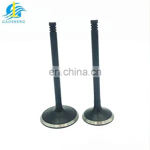 Chery Tiggo T11 T15 J11 SQR481FA qq Car Spare Parts Intake Exhaust Engine Valves thumbnail-3