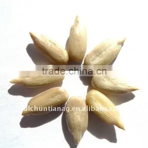 Organic Sunflower Seed Kernels thumbnail-1