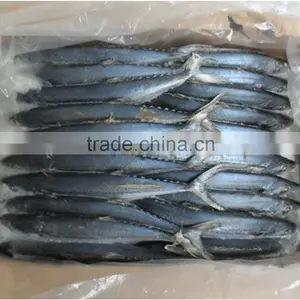 Frozen Seafood Mackerel thumbnail-4