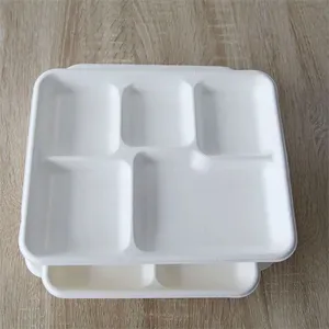 Organic Biodegradable 5 Compartment Food Tray thumbnail-2