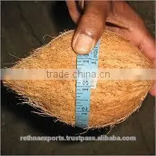 Fresh and Young Semi Husked Coco thumbnail-3
