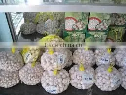 FRESH SINGLE CLOVE GARLIC thumbnail-2