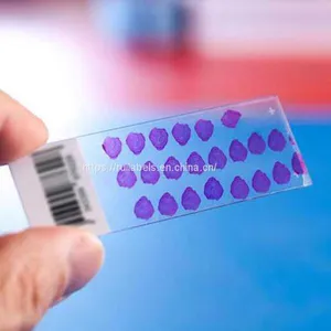 Xylene Resistant Slide Labels Microscope Slides Labeling thumbnail-3