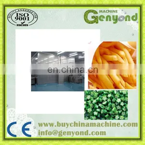 Small Capacity Vegetable Bean Quick Freezing Machine thumbnail-4