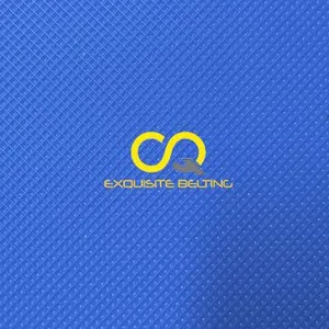 Meat and Seafood Blue Food Grade Belts thumbnail-5
