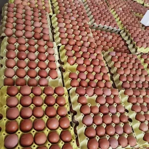 Fresh Eggs- Brown thumbnail-1