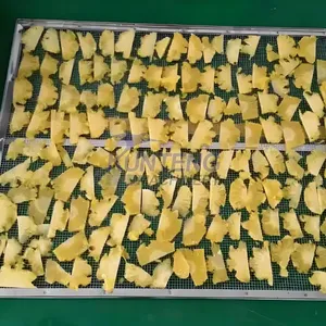 Food Grade Fruit Drying Oven Dryer Pineapple Drying Machine Pineapple Dehydration Production Line EPC thumbnail-2