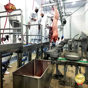 Pig Slaughtering Line Pork Slaughter Machine Swine Slaughterhouse Equipment Abattoir Processing System thumbnail-1