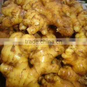 China Fresh Wet Skin Ginger Export thumbnail-1