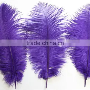 14"-16" Wholesale Purple Ostrich Feather Fabric For Ostrich Feather Fan Decoration thumbnail-3