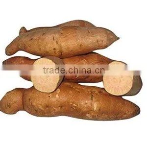 Fresh Sweet Potato thumbnail-1