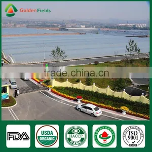 Fresh Dried Shiitake Mushroom Cultivation Lentinula Edodes Growing Export to Farm thumbnail-6