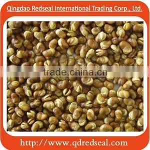 2016 Superior Quality Delicious Fried Broad Beans for Sale thumbnail-1