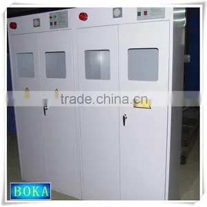 Gas Cabinet, Lab Gas Cabinet, Gas Cupboard thumbnail-1