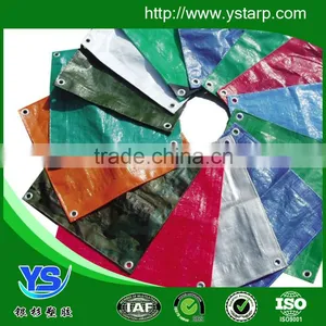 Hot Sale Good Quality Plastic Tarpaulin for Truck,PE Tarpaulin thumbnail-1