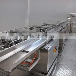 Fast Back Horizontal Motion Conveyor Design for Potato Chips Conveying thumbnail-5