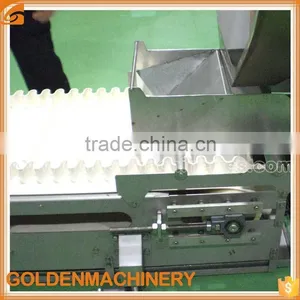 Stainless Steel Food Conveyor thumbnail-2