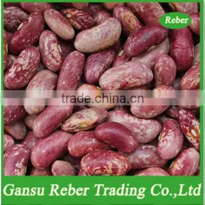 Light Purple Speckled Kidney Beans thumbnail-1