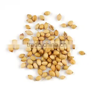 Coriander Seeds thumbnail-1