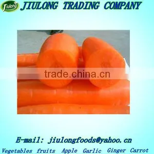 Local Fresh Natural Carrot Seeds thumbnail-1