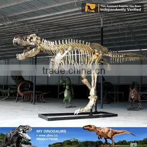 MY Dino-O08 Life Size Fiberglass Dinosaur Skeleton Decoration thumbnail-3