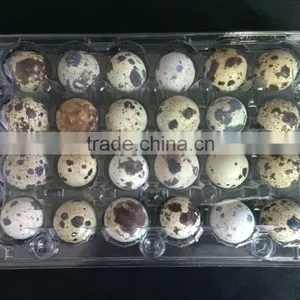 Wholesale Disposable Quail Egg Tray for 6/12/18/20/24/30 Qua thumbnail-6
