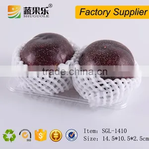 Blister Plastic Disposable Food Fruit Tray thumbnail-1