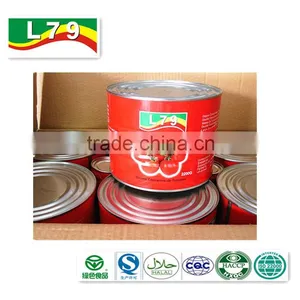 2200G China Factory Hot Sell Nature Canned Tomato Paste thumbnail-6