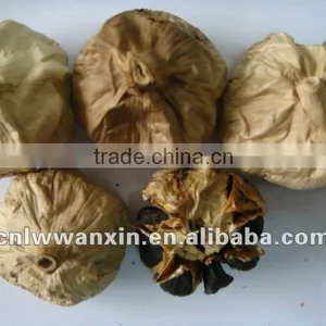 China Black Garlic thumbnail-1