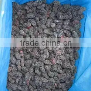 New Crop Frozen Mulberry for Sale thumbnail-4