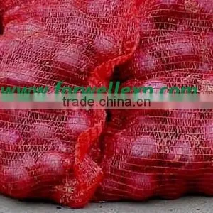 Fresh Red Onion thumbnail-1