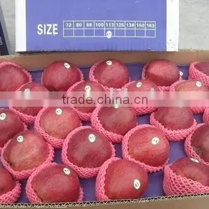 Fresh Apples thumbnail-1