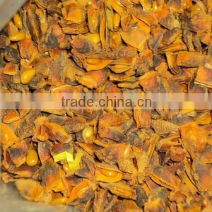 VIETNAM BROKEN STAR ANISE/ STAR ANISEED +84 965690806 thumbnail-1