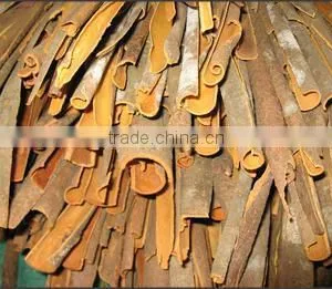 Split Cassia - Premium Quality thumbnail-1