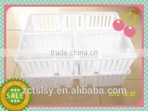 the Hot Quality the High Utilization Rate of Poultry Transport Box for Chicken and Duck thumbnail-5