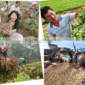 Neweek Agricultural Tractor Mounted Groundnut Harvesting Machine for Sale thumbnail-5