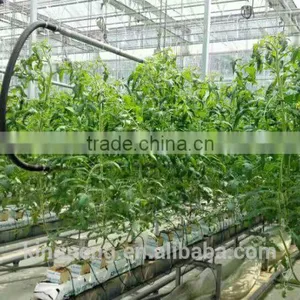 Truss Shape Trellising Hot Dipped Galvaniazed Cultivating Shelf Used in Greenhouse thumbnail-2