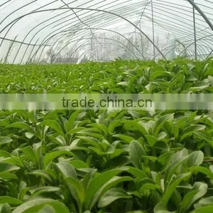 Better Industry Herbal Medicine Extractor On Sale thumbnail-4