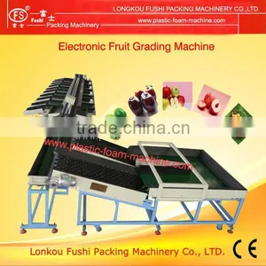 Apple Grading Machine thumbnail-1