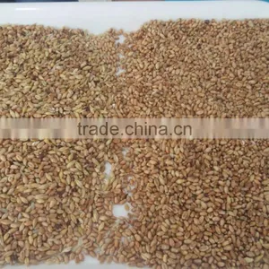 ZRWS High Quality Xinjiang Wheat Color Sorter With Competitive Price thumbnail-2