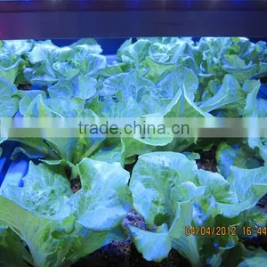 2016 MarsHydro Indoor Plant Led Grow Light Grow Bar Full Spectrum thumbnail-5